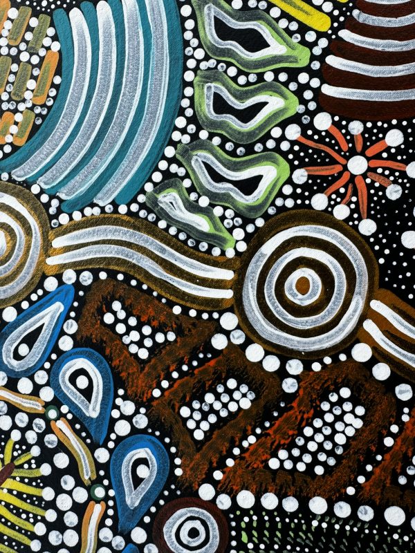 "Sacred Waterhole and Bush Medicine" <br> Sharon Napanangka Butcher<br> 95cm x 69cm - Image 2