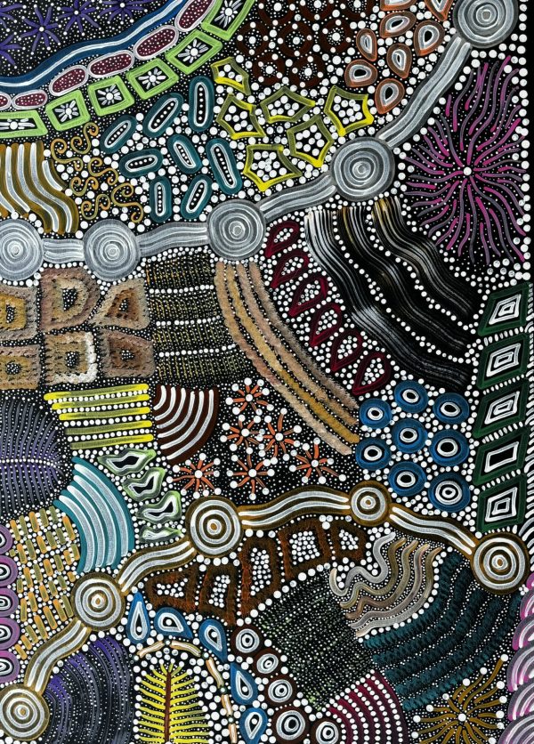 "Sacred Waterhole and Bush Medicine" <br> Sharon Napanangka Butcher<br> 95cm x 69cm - Image 3