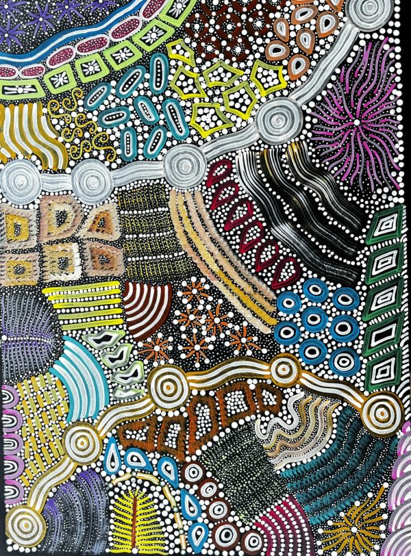 "Sacred Waterhole and Bush Medicine" <br> Sharon Napanangka Butcher<br> 95cm x 69cm - Image 4