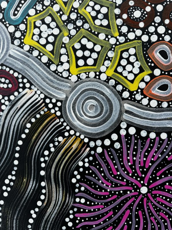 "Sacred Waterhole and Bush Medicine" <br> Sharon Napanangka Butcher<br> 95cm x 69cm - Image 5