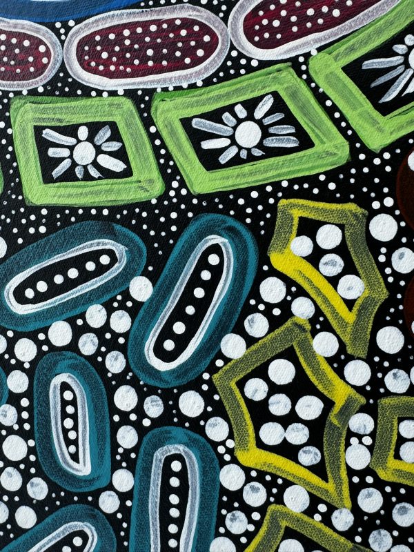 "Sacred Waterhole and Bush Medicine" <br> Sharon Napanangka Butcher<br> 95cm x 69cm - Image 6