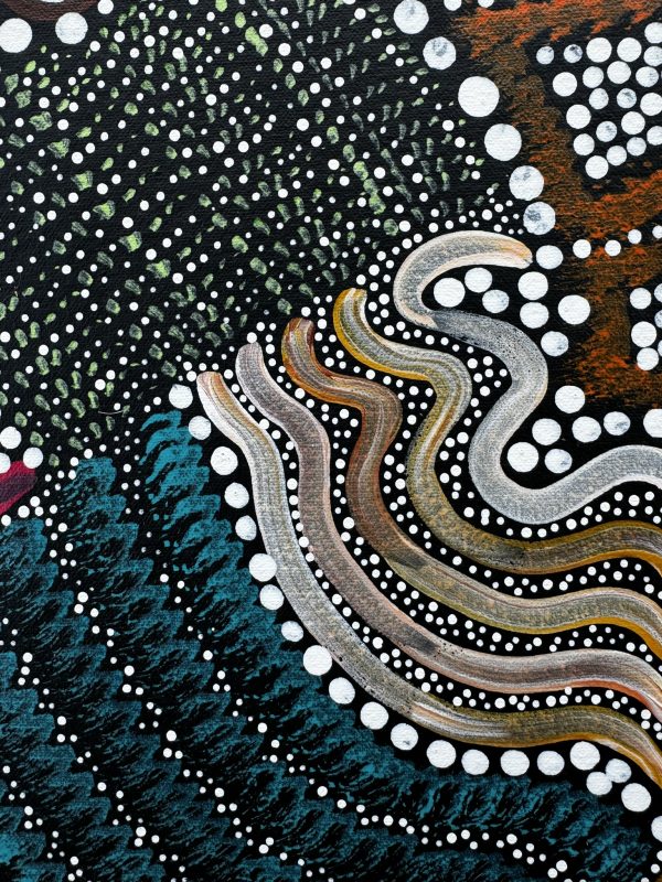 "Sacred Waterhole and Bush Medicine" <br> Sharon Napanangka Butcher<br> 95cm x 69cm - Image 7