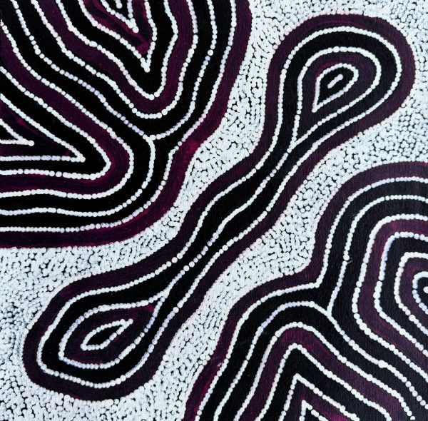 Yarla Jukurrpa (Bush Potato Dreaming)<br> Alicka Napanangka Brown <br> 25cm x 25cm - Image 2