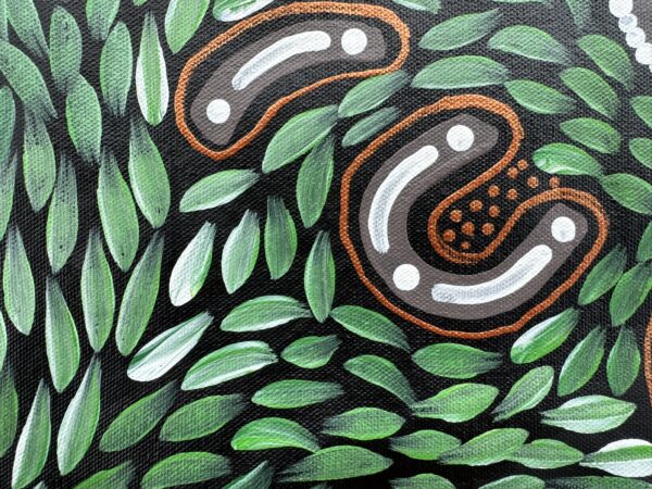 Bush Banana Dreaming<br> Sharon Napanangka Butcher <br> 50cm x 36cm - Image 3