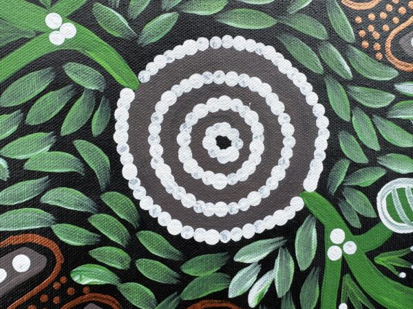 Bush Banana Dreaming<br> Sharon Napanangka Butcher <br> 50cm x 36cm - Image 6