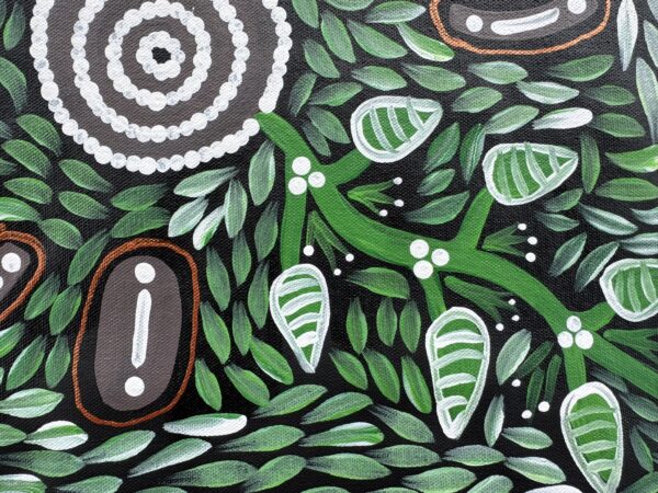 Bush Banana Dreaming<br> Sharon Napanangka Butcher <br> 50cm x 36cm - Image 9