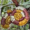 Handwoven Pandanus Earrings<br> Beatrice Namundja