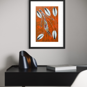 YawkYawk<br>Manuel Nganjmirra<br>53cm x 34cm